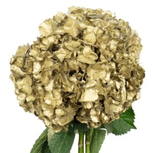 Gold Flowers