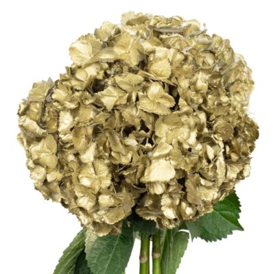 Gold Flowers