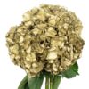 Metallic Gold Hydrangea