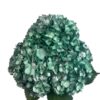 Blue Moonlit Forest Hydrangea
