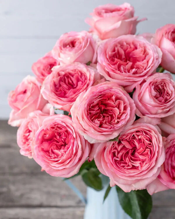 Pink Expression - Image 2