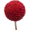 Red Tinted Craspedia