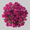Hot Pink Alicia Spray Roses