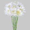 White Mum