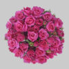 Hotpink Follies Spray Roses