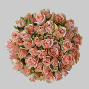 Pink Isle Spray Roses