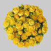 Yellow Jenny Spray Roses