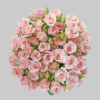 Pink Majolika Pink Spray Roses