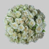 White White Majolika Spray Roses