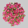 Pink Pink Flash Spray Roses